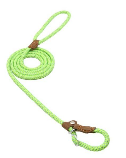 Nylon Pup Set – Dog Collar, Leash & Harness Bundle