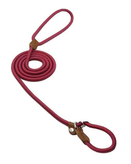 Nylon Pup Set – Dog Collar, Leash & Harness Bundle