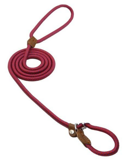 Nylon Pup Set – Dog Collar, Leash & Harness Bundle