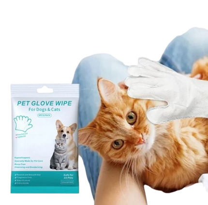 Pet Cleaning Gloves & Wipes – Grooming & Quick Clean Set