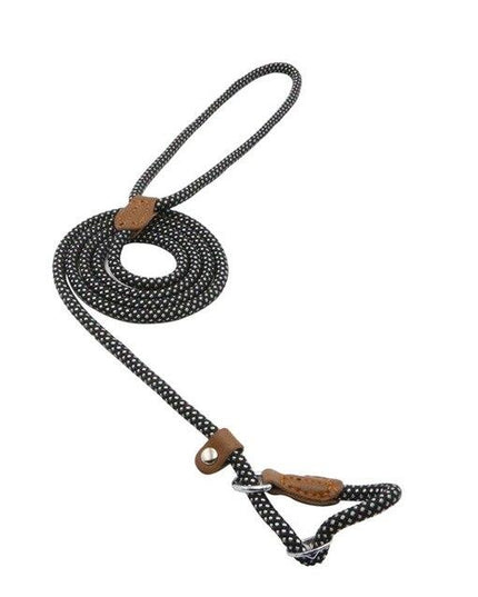 Nylon Pup Set – Dog Collar, Leash & Harness Bundle