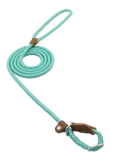 Nylon Pup Set – Dog Collar, Leash & Harness Bundle