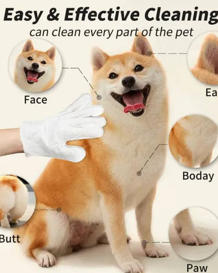 Pet Cleaning Gloves & Wipes – Grooming & Quick Clean Set